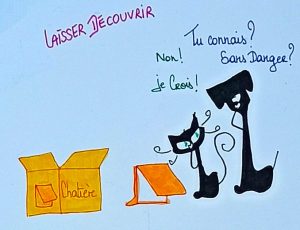 faire découvrir la chatière à son chat